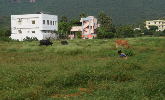 a view of Children of Faith Missions two dormitories