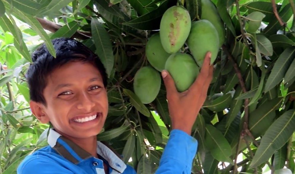 A child picks a mango in the Children of Faith Garden