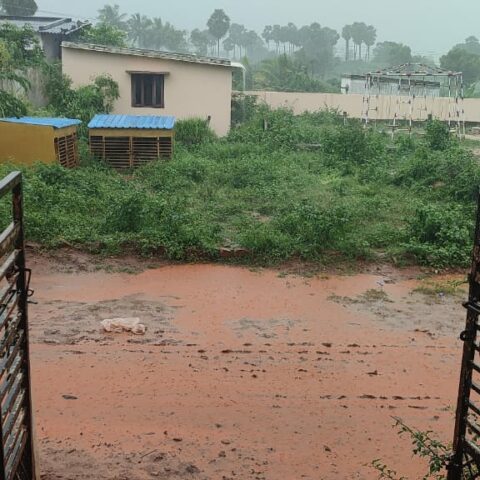 Rains pours down outside the gates to Children of Faith Home in India